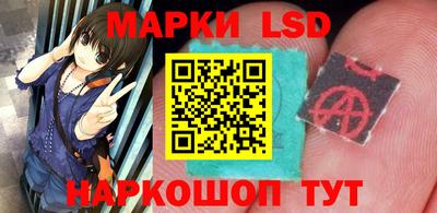 mdpv Заводоуковск