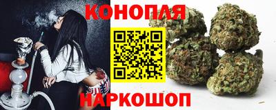 mdpv Заводоуковск