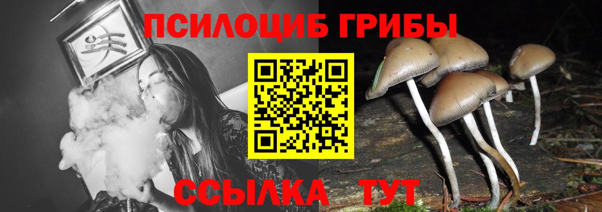 Псилоцибиновые грибы мухоморы  Псилоцибиновые грибы прущие грибы  Протвино  Вход с VPN 