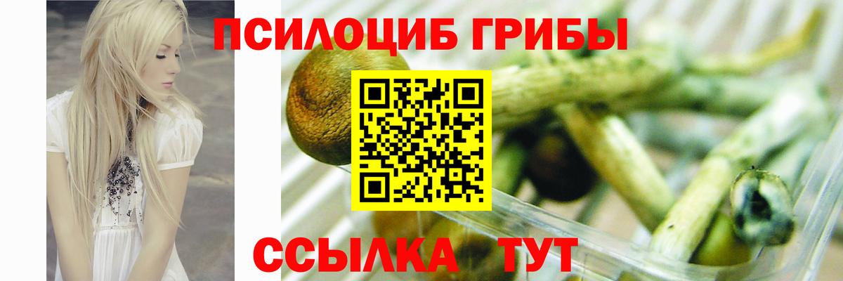Галлюциногенные грибы Psilocybine cubensis Протвино